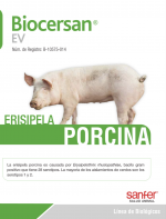 Biocersan EV: Erisipela Porcina