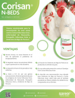 Infografía Corisan N-Beds.