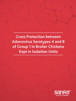 Cross Protection between Adenovirus Serotypes 4 and 8 of Group 1 in Broiler Chickens kept in Isolation Units.