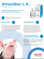 Amoxidex® L.A.: Tratamiento inyectable de elección para los problemas infecciosos