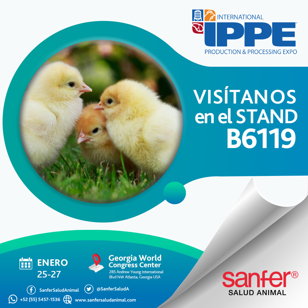 IPPE 2022