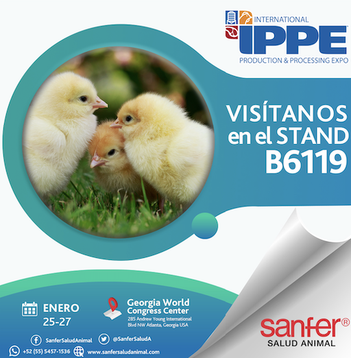 IPPE 2022
