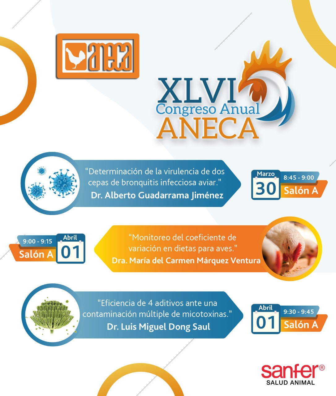 Exposición de Trabajos Orales (XLVI Congreso ANECA)